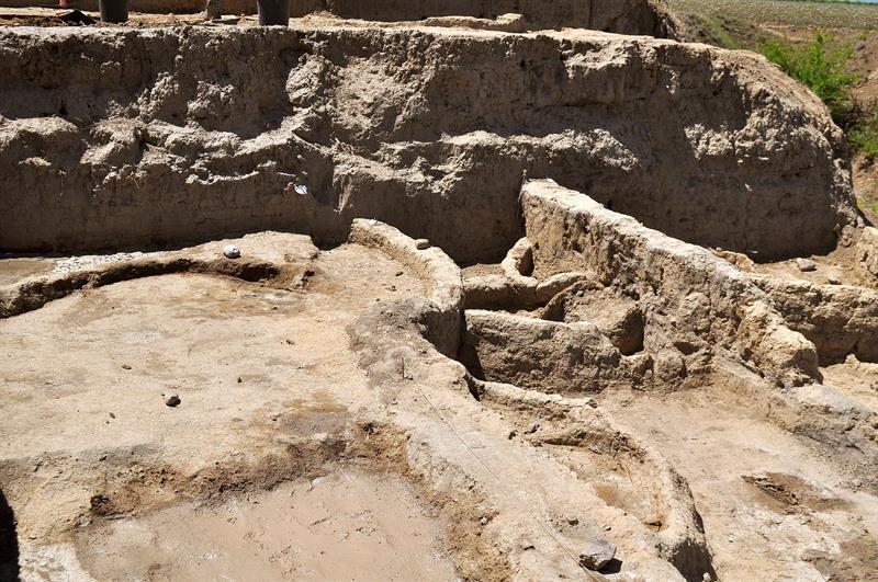  De mens heeft al 8.000 jaar geleden wijn gemaakt, volgens archeologen